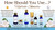 Hydrate Weekly Skincare Line