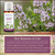 Savory Essential Oil Key Reasons to Use