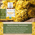 Helichrysum Serotinum Organic Essential Oil Key Reasons to Use
