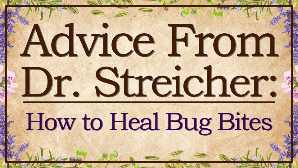 Advice from Dr. Streicher How to Heal Bug Bites Amrita Aromatherapy