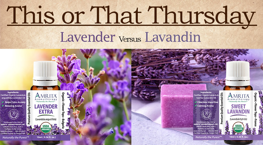 Lavender (Oregon) Essential Oil - Organic (Lavandula Angustifolia)