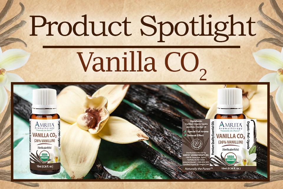 Product Spotlight: Vanilla CO2 - Amrita Aromatherapy | Amrita Aromatherapy