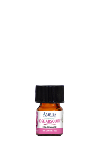 Rose Absolute | Amrita Aromatherapy