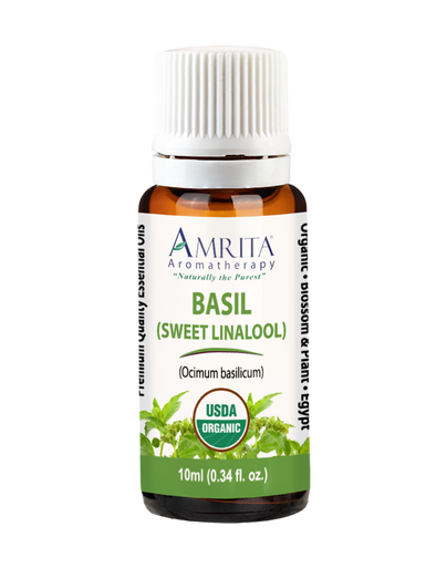 Basil Sweet Linalool Organic Essential Oil