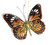 Glittered Butterfly Ornaments 3 Pc Set By Kurt Adler