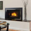 Regency HRi6E Large Gas Burning Insert