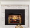 Revillusion® 24" Fireplace Insert