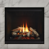 Regency Grandview G600EC Gas Fireplace 