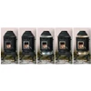Gnome Direct Vent Gas Stove Painted Black