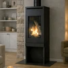 Ascend Direct Vent Gas Stove by Thelin