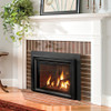 Jotul GI 535 New Harbor Gas Burning Fireplace Insert
