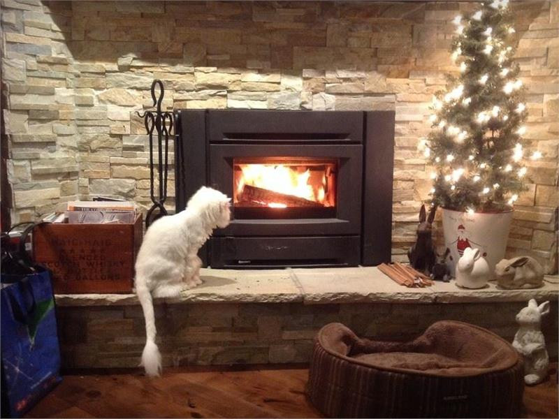 Regency Ci1150 Small Wood Burning Insert - Rocky Mountain Stove