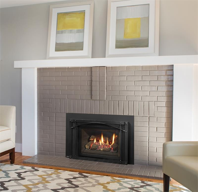 Regency LRI4E Gas Fireplace Insert
