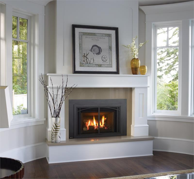 Regency LRI4E Gas Fireplace Insert