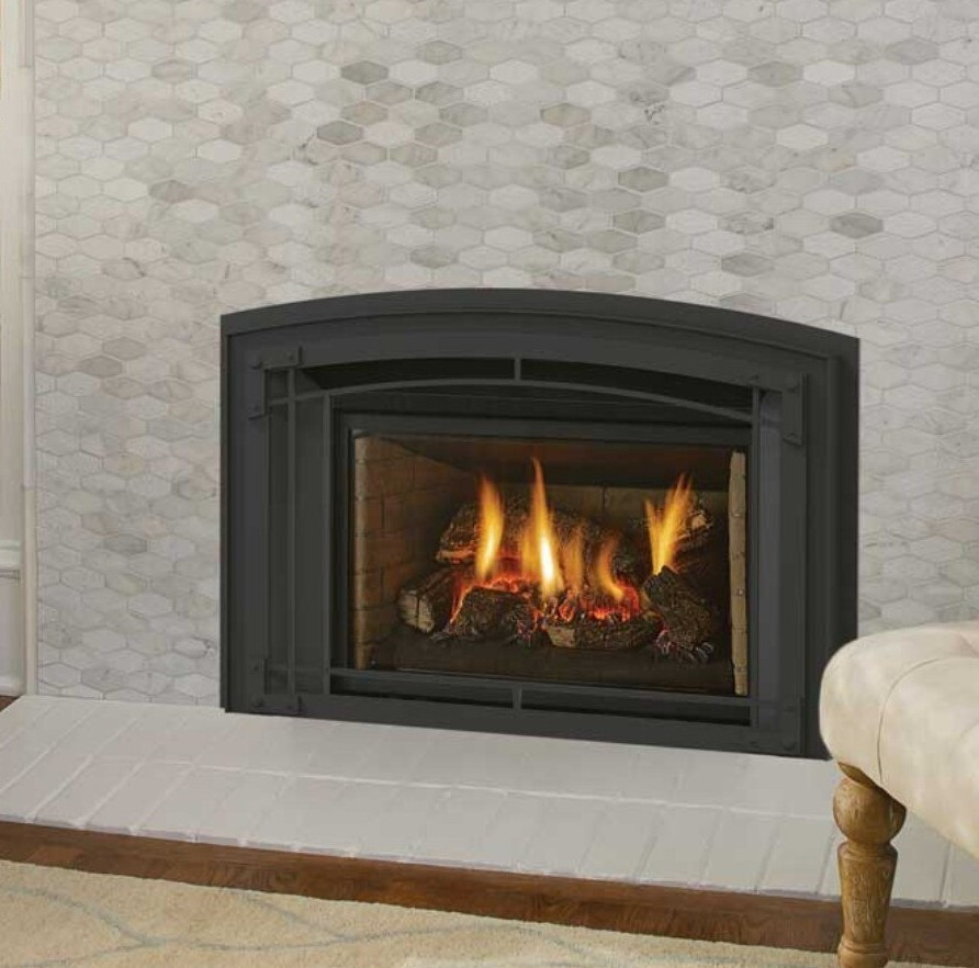 Regency LRI4E Gas Fireplace Insert