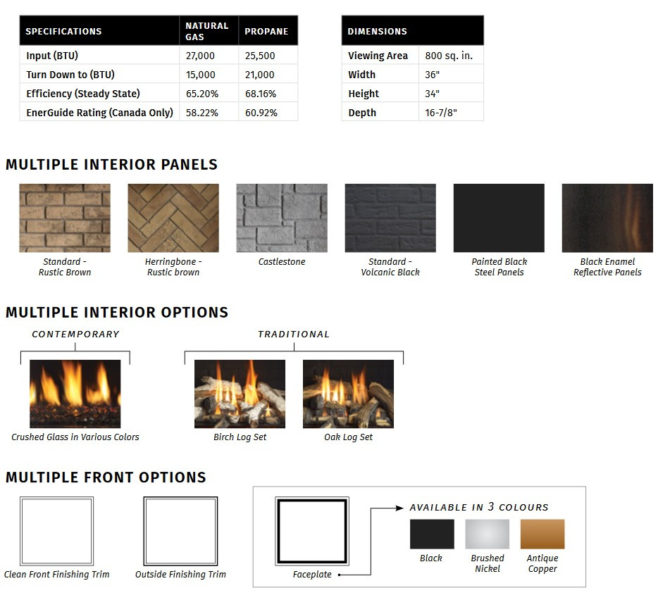 Regency Grandview G800EC Gas Burning Fireplace - Rocky Mountain