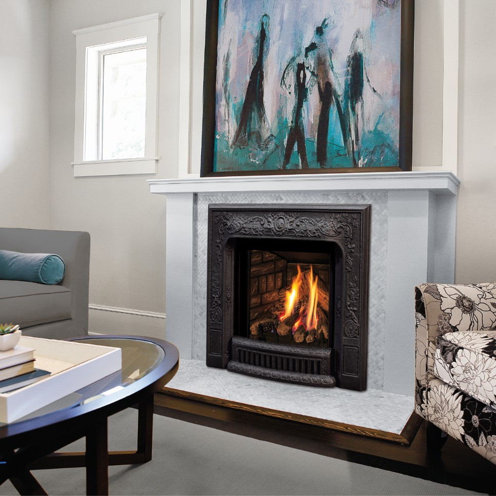 Enviro Q1 Gas Fireplace Insert