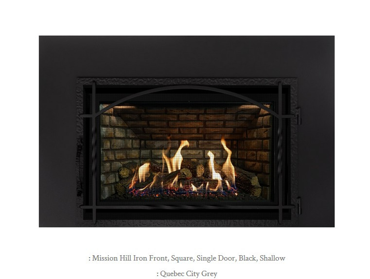 Archgard 36-DVIE40 Gas Insert