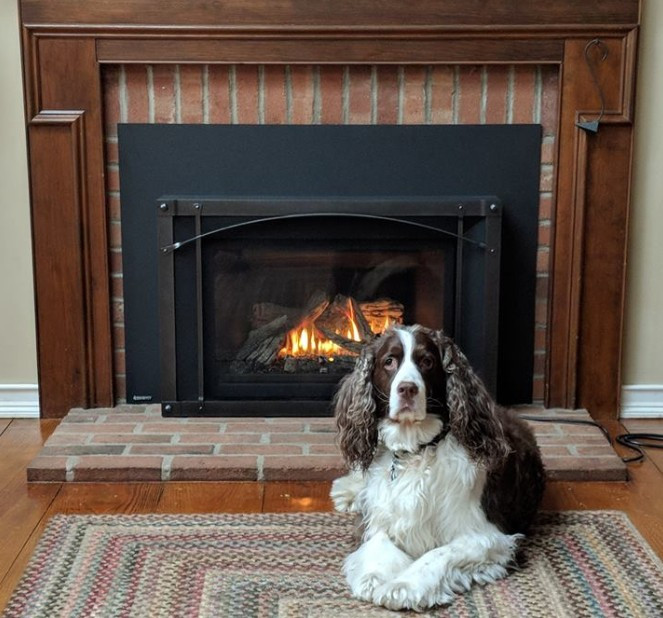Regency LRI6E Large Gas Burning Insert - Rocky Mountain Stove