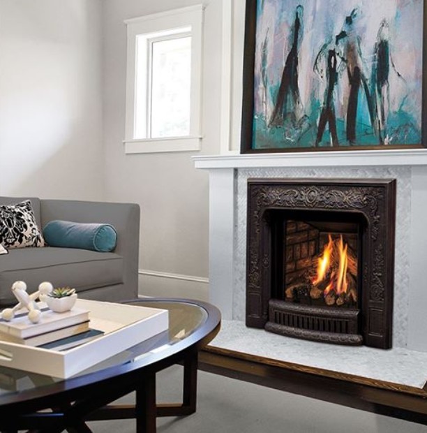 Enviro Q1 Gas Fireplace Insert