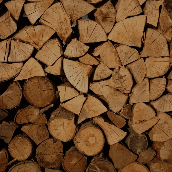 Burning the right wood in your Wood Stove