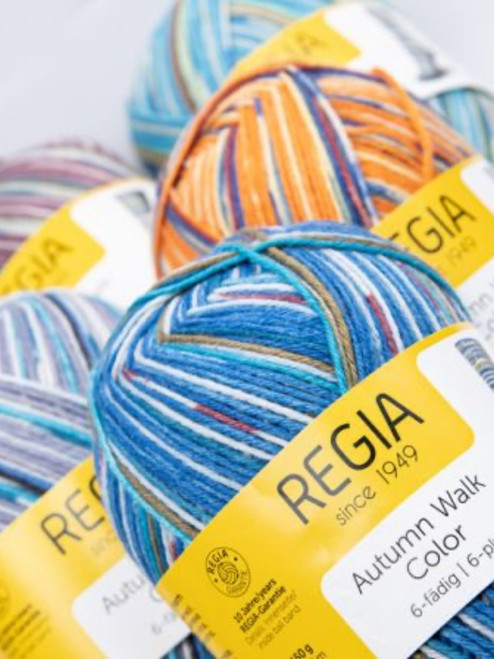 Regia Autumn Walk Color 6ply