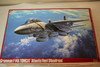 HASP19 - Hasegawa - 1/48 F-14A Tomcat ( Atlantic F.S. )