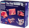 LIN71315 - Lindberg - The Five Senses Kit
