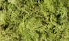 WOOL162 - Woodland Scenics Lichen Light Green
