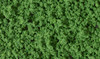 WOOFC136 - Woodland Scenics Underbrush - Medium Green