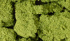 WOOFC57 - Woodland Scenics Foliage Clusters - Light Green