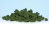 WOOFC683 - Woodland Scenics Clump Foliage - Medium Green