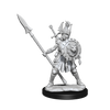 WIZ75025 - Wizkids DnD Frameworks Human Fighter Female