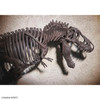 BAN5061800 - Bandai 1/32 Imaginary Skeleton Tyrannosaurus