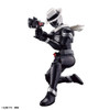 BAN5063939 - Bandai Figure-Rise Standard Kamen Rider Skull