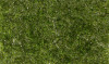 AGT6493 - All Game Terrain Light Green Super Foliage