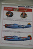 Warbirds Decals 1/48 P-47D Thunderbolt KW148059