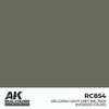 AKIRC854 - AK Interactive Real Colors Hellgrau-Light Grey RAL 7009 (interior color) 17 ml
