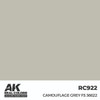 AKIRC922 - AK Interactive Real Colors Camouflage Grey FS 36622 17 ml.