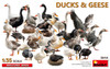 MIA38114 - 1/35 MNA38114 Ducks & Geese