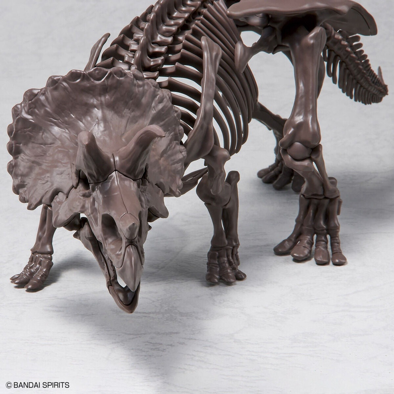 貴重レコード TRICERATOPS/THE GREAT SKELETON'S