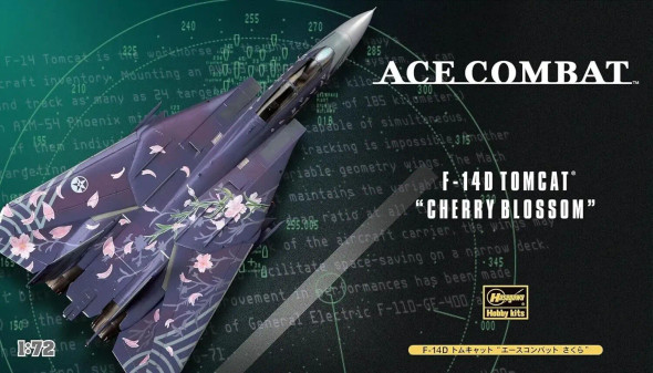 Hasegawa 1/72 F-14D Tomcat Ace Combat "Cherry Blossom"