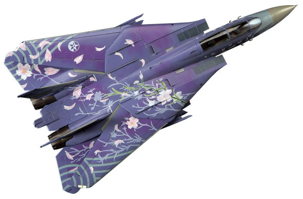 Hasegawa 1/72 F-14D Tomcat Ace Combat "Cherry Blossom"