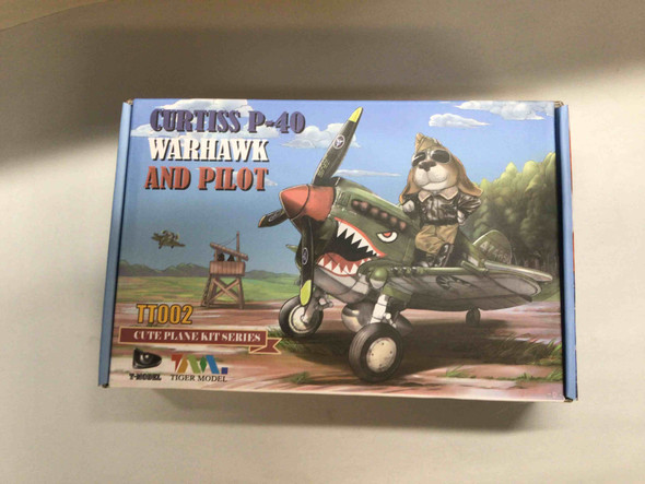 TIGTT002 - Tiger Model 1/Egg Curtiss P-40 Warhawk And Pilot - WWHP111248