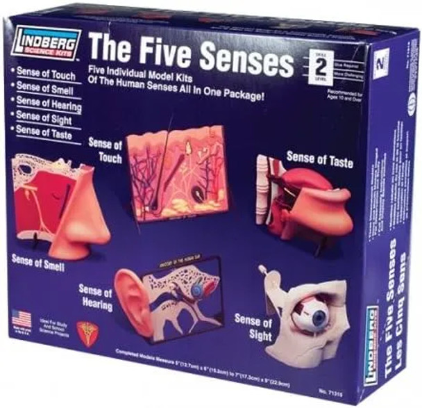 LIN71315 - Lindberg - The Five Senses Kit