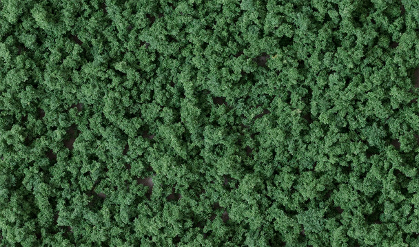 WOOFC137 - Woodland Scenics Underbrush - Dark Green