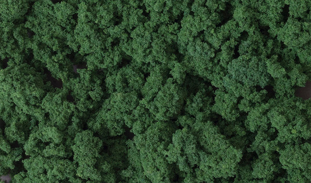 WOOFC684 - Woodland Scenics Clump Foliage - Dark Green