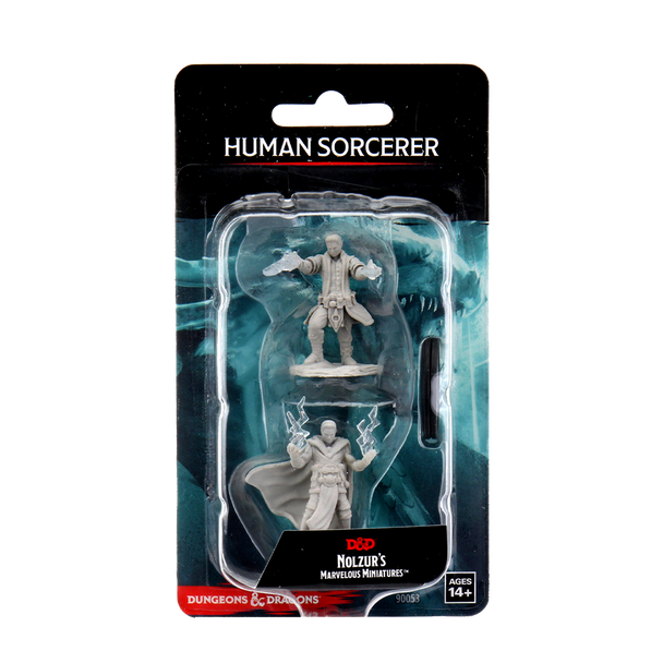 WIZ90053 - Wizkids DnD Male Human Sorceror (Unpainted)