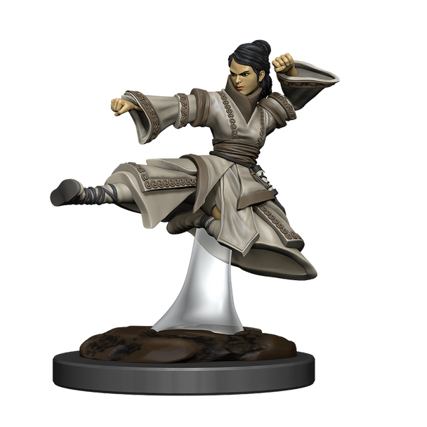 WIZ93044 - Wizkids DnD Icons of the Realm Human Monk Female