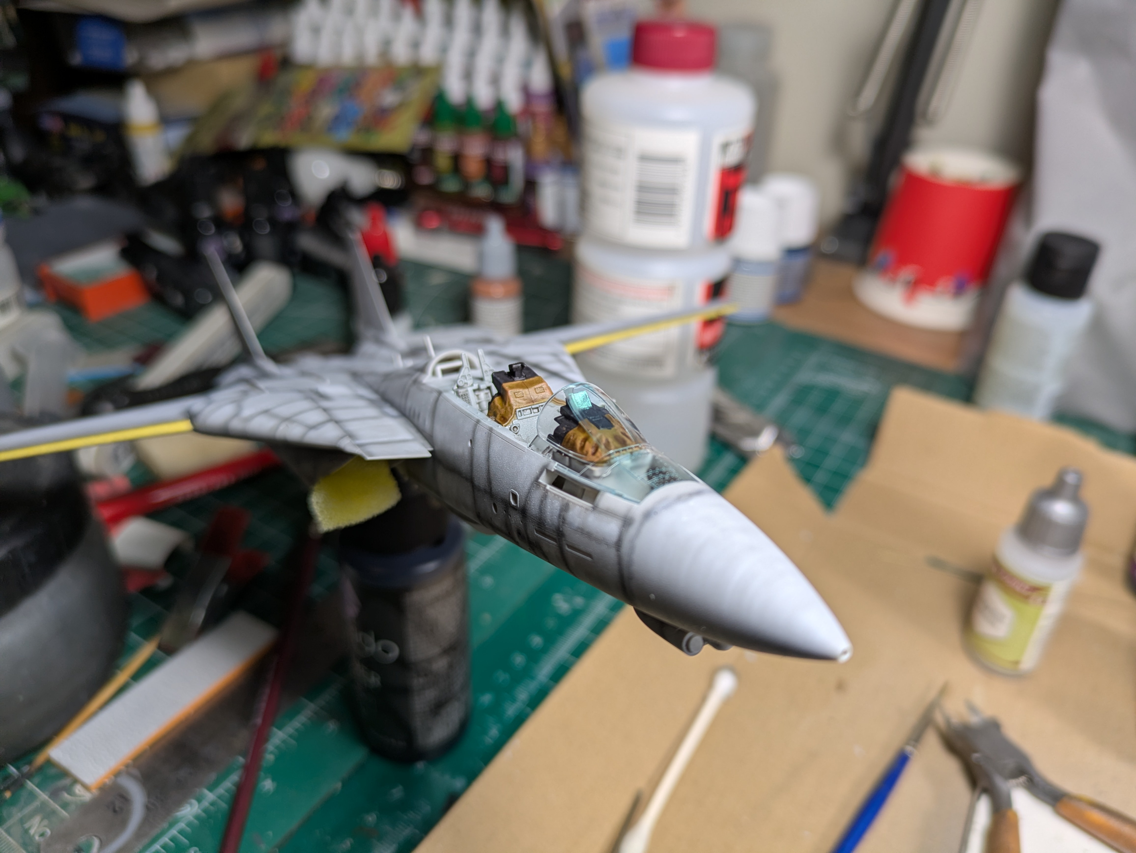Front nose view showing cockpit detail and canopy tint from forward